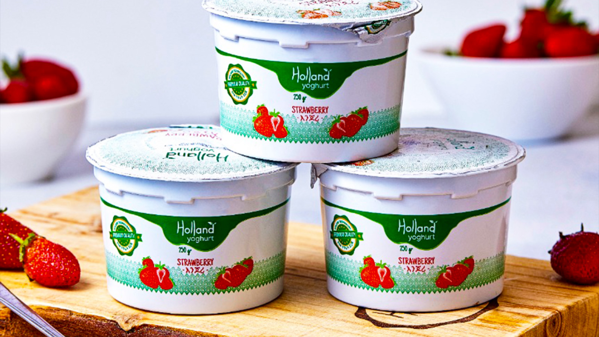 Holland Dairy