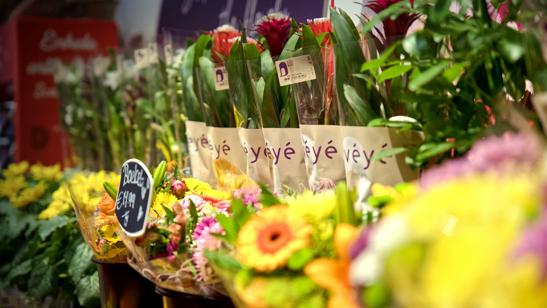 RVE vacatures