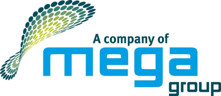 MegaGroup