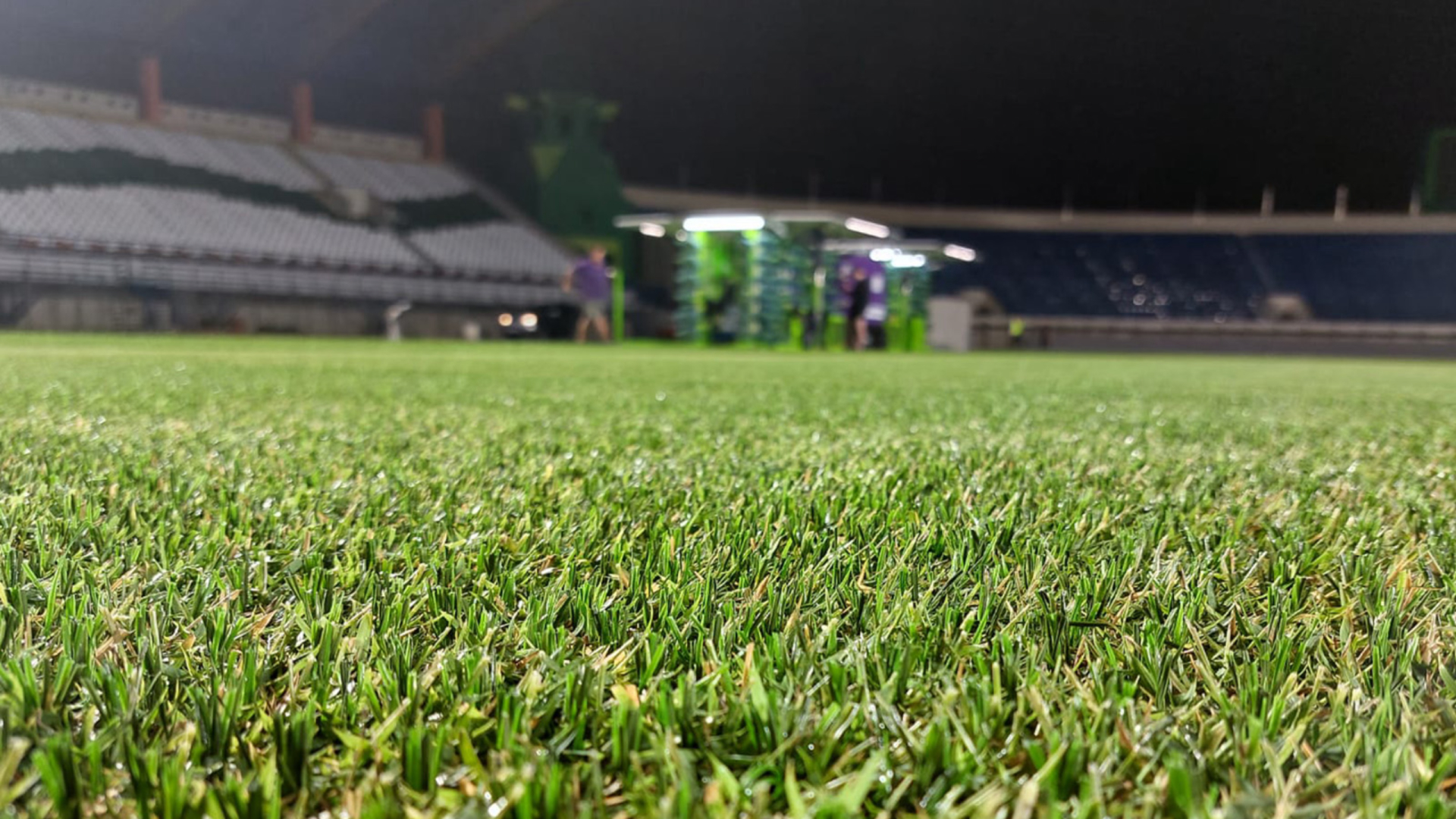 SISGrass