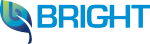 Bright Renewables