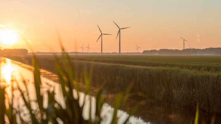 Sustainability