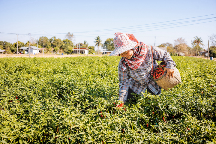 Senior Sales Manager Germany
