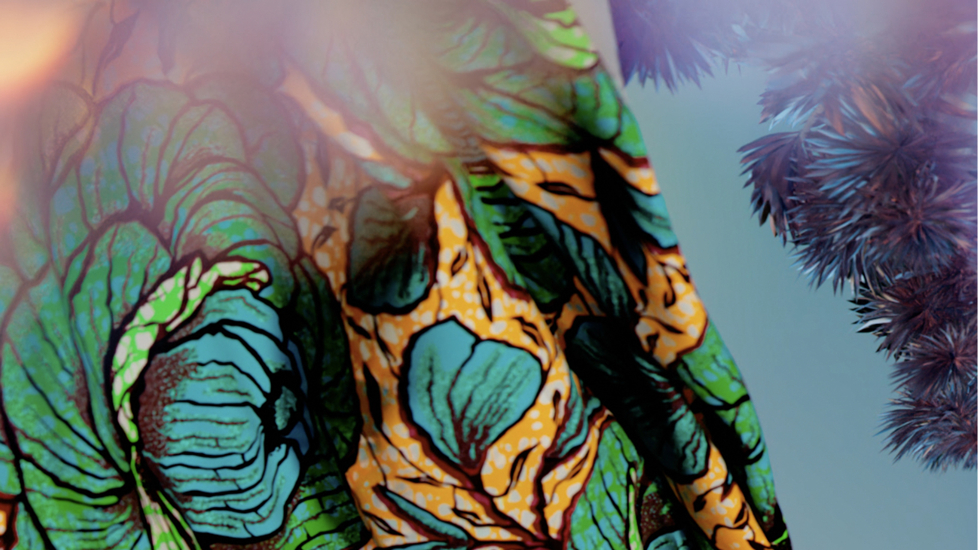 Vlisco