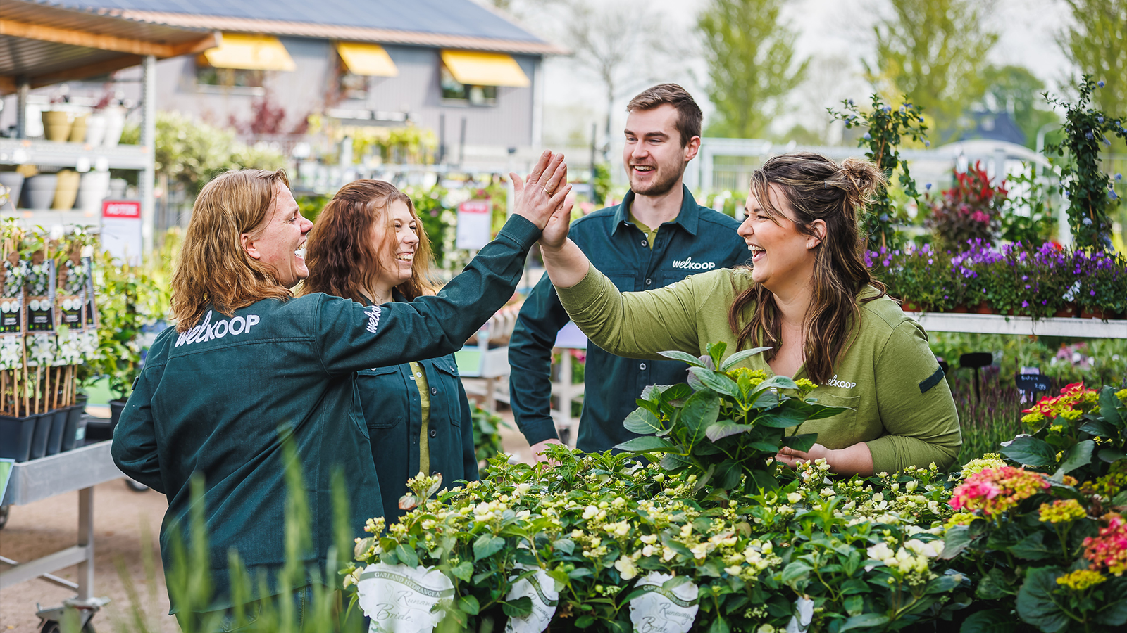 Welkoop Vacatures