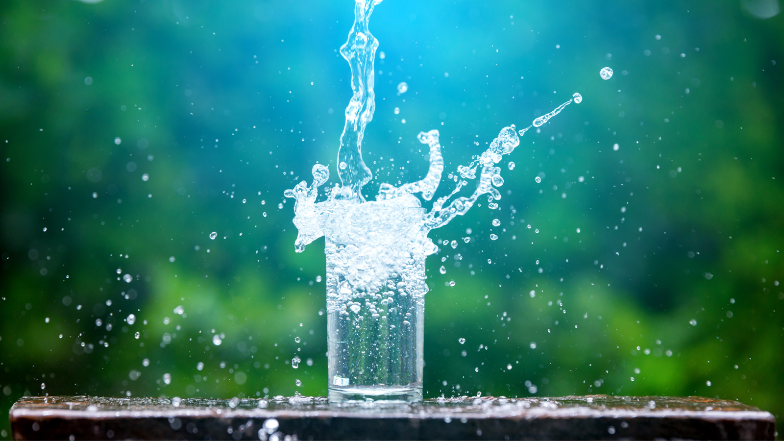 Account Manager