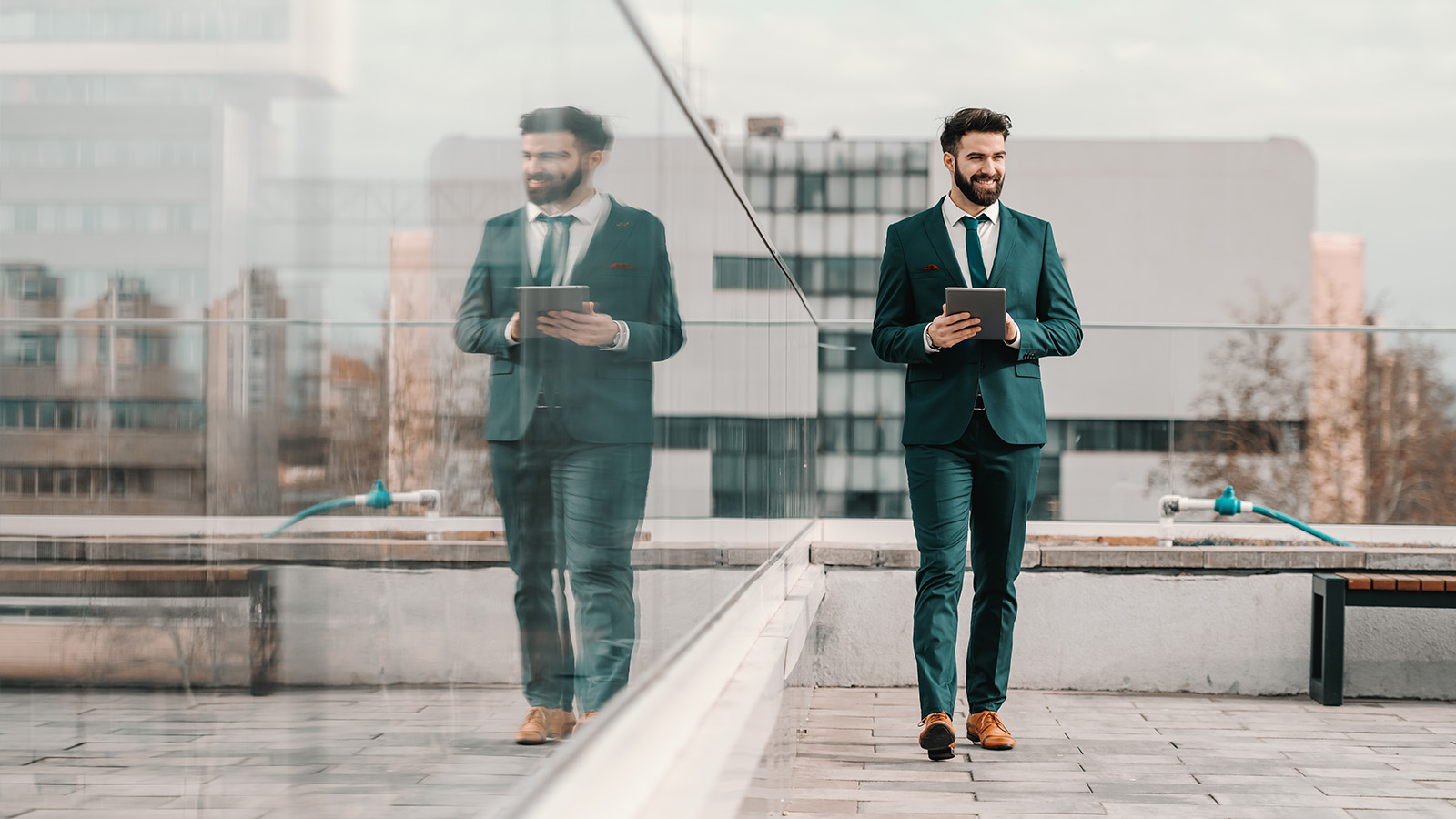IT Business Partner