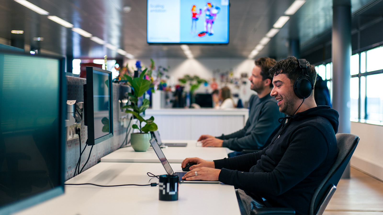 Account Director