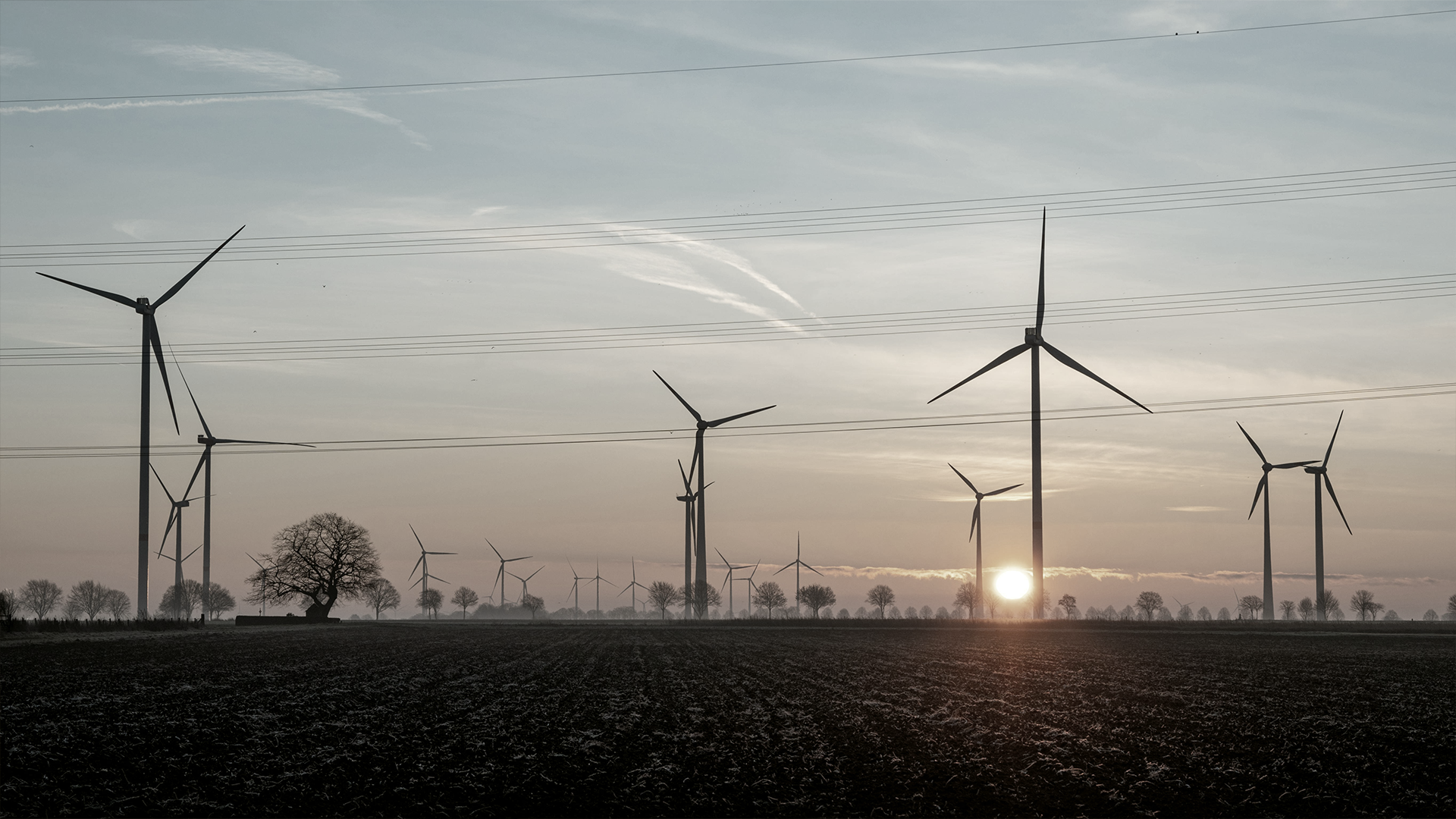 Sustainability