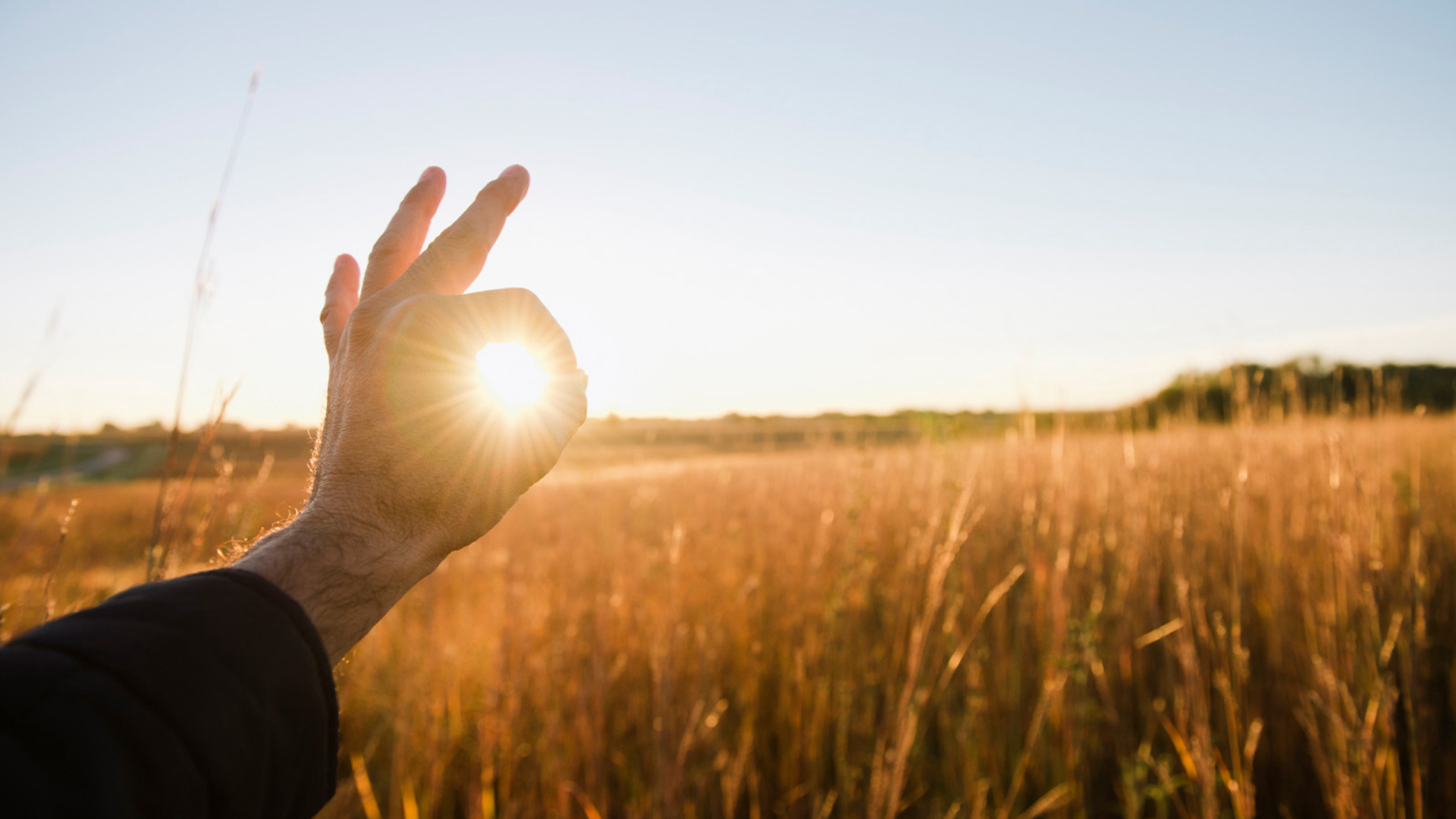 DO IT ORGANIC Vacature