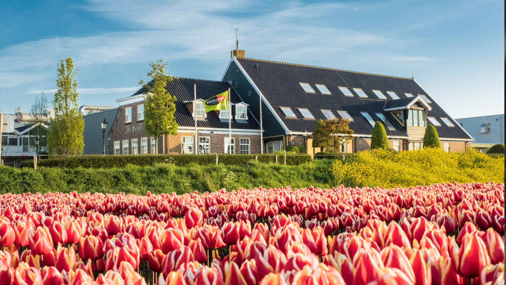 Farm Frites