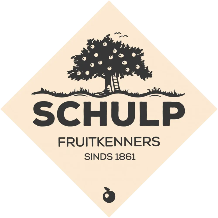 Schulp
