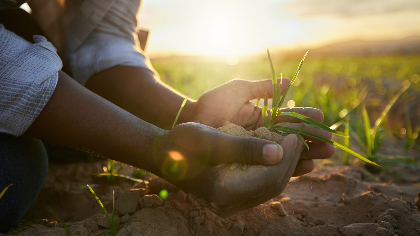 CEO – FMCG Tanzania Project