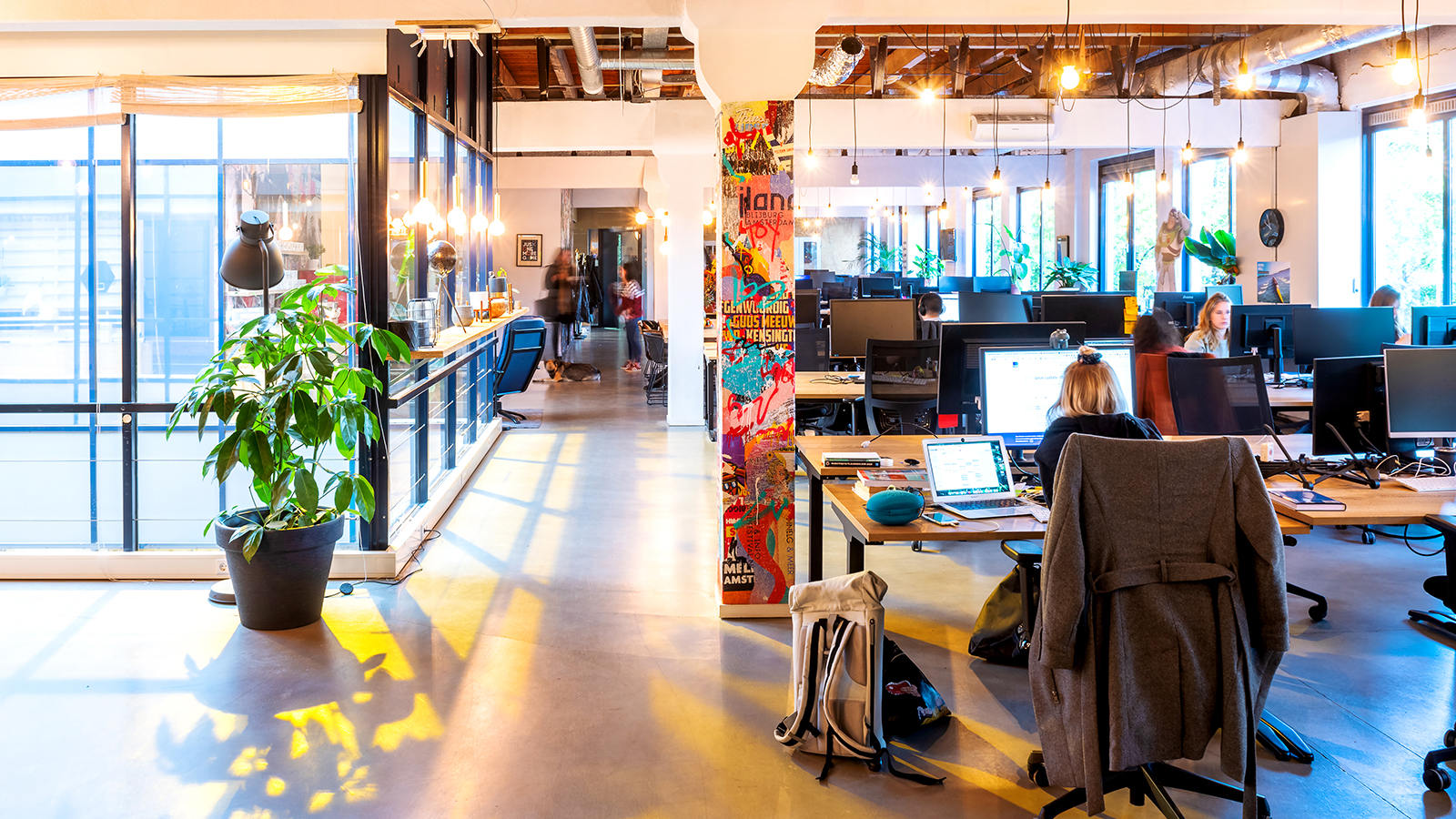 Director Customer Lifetime Management