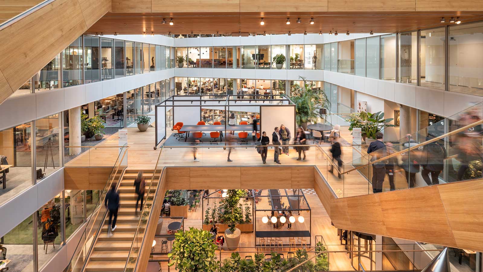 Vice President - Corporate Strategy
