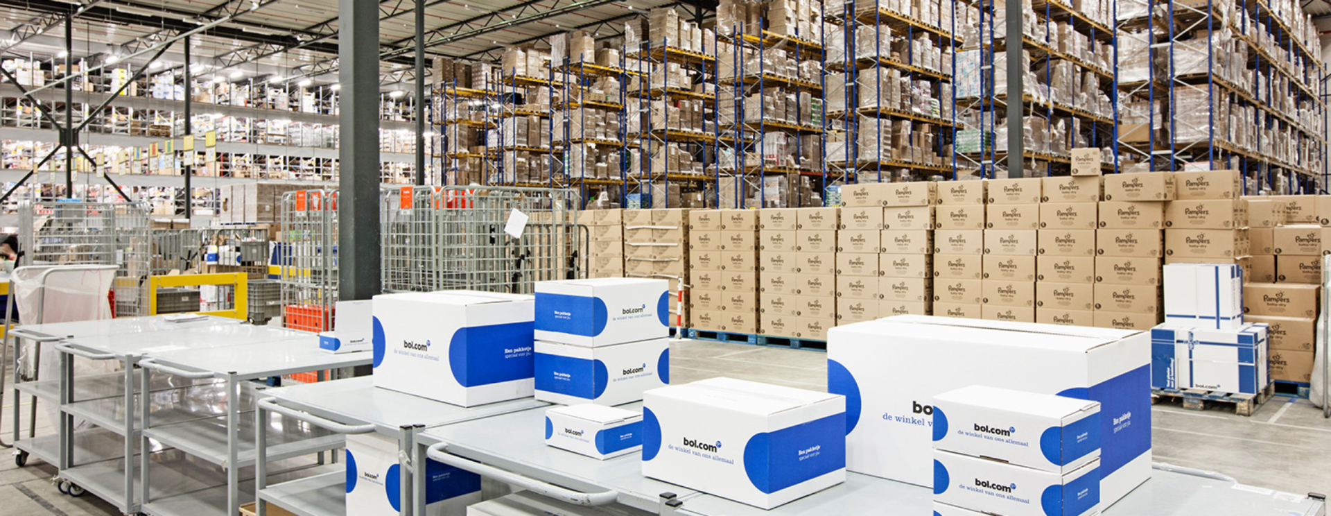 Head of Merchandising Elektronica
