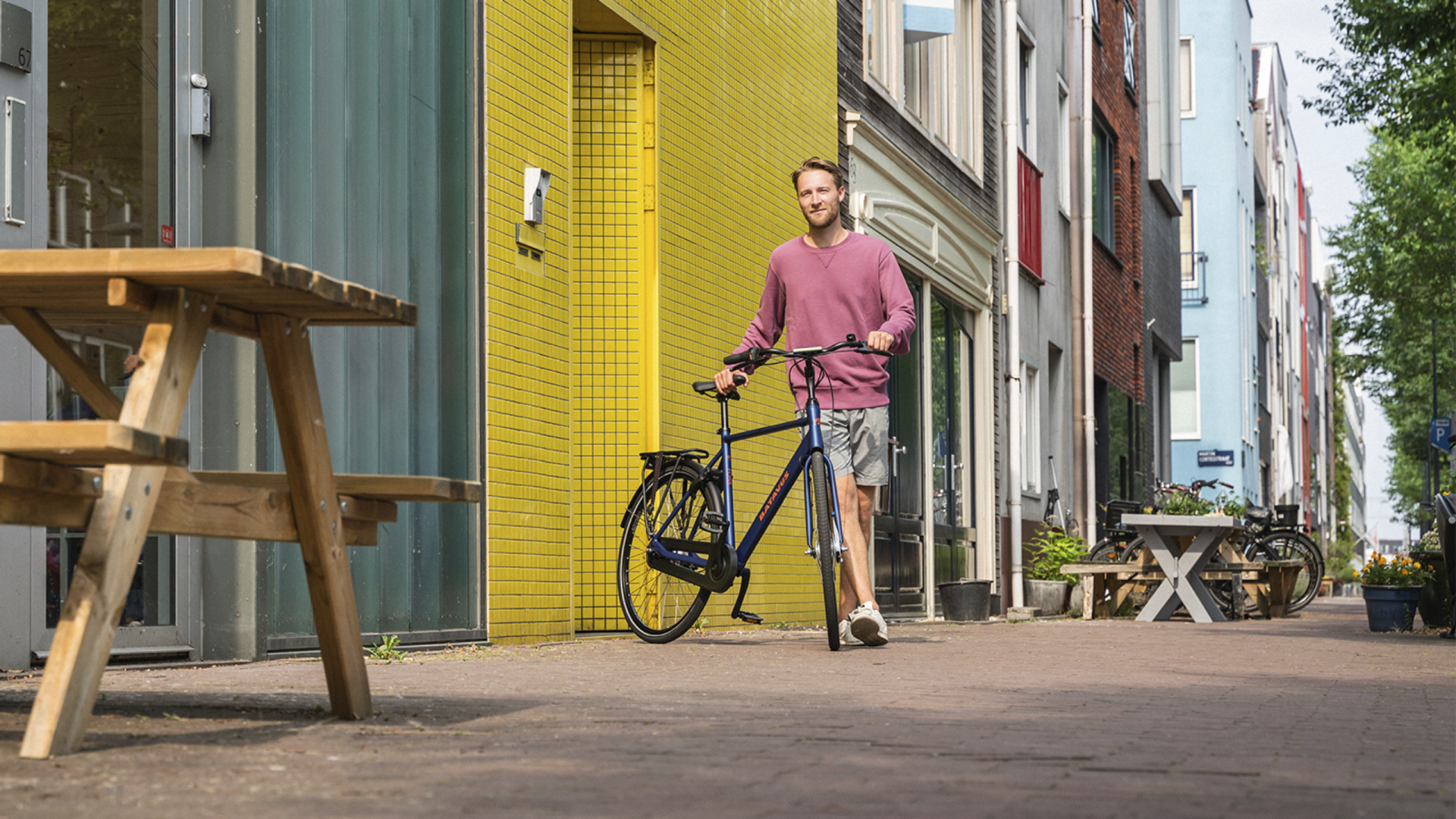 Senior Brand Manager Batavus