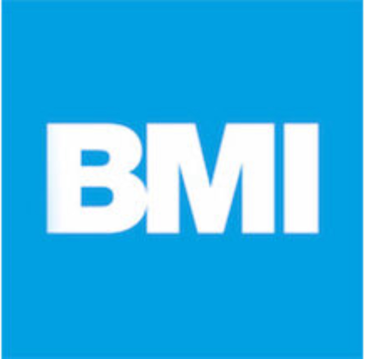 BMI Group