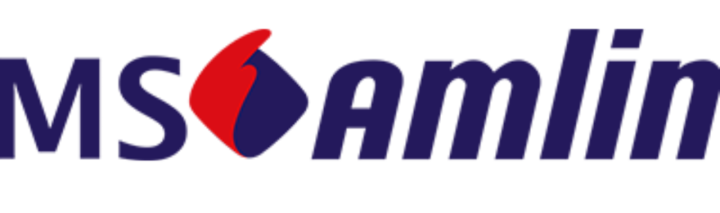 MS Amlin