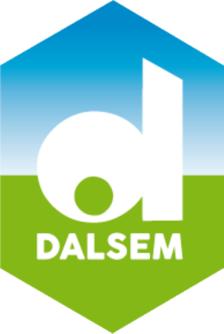 Dalsem
