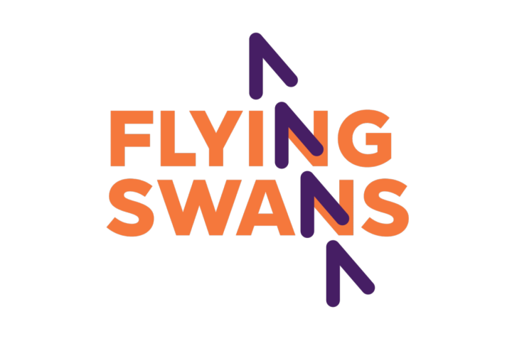 Flying Swans